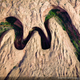 Imagen para el artículo titulado Las fotos ganadoras del concurso anual de National Geographic muestran un planeta tan hermoso que no lo merecemos